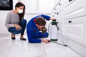 Best Organic or Eco-Friendly Pest Control  in Dowagiac, MI