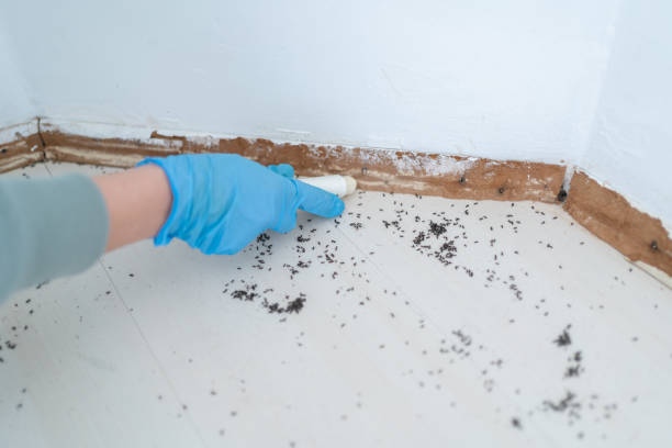 Best Commercial Pest Control  in Dowagiac, MI